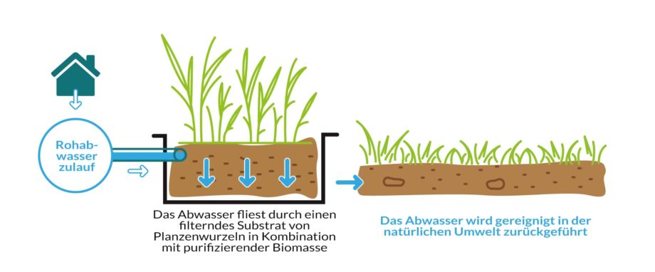 Prinzip des Wasserklärgartens